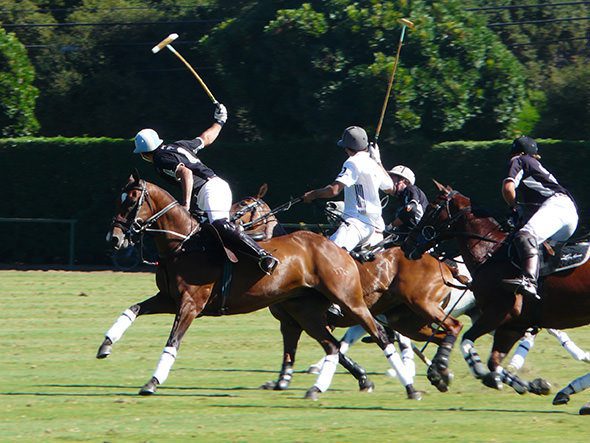 poloAction1