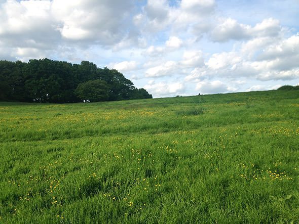 Hampstead Heath Park