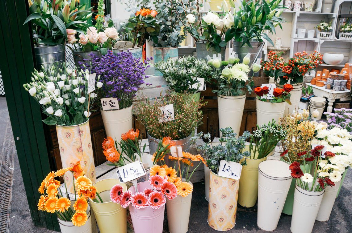 A Girl's Guide to Surviving a Solo Trip to London in January, The Final Chapter