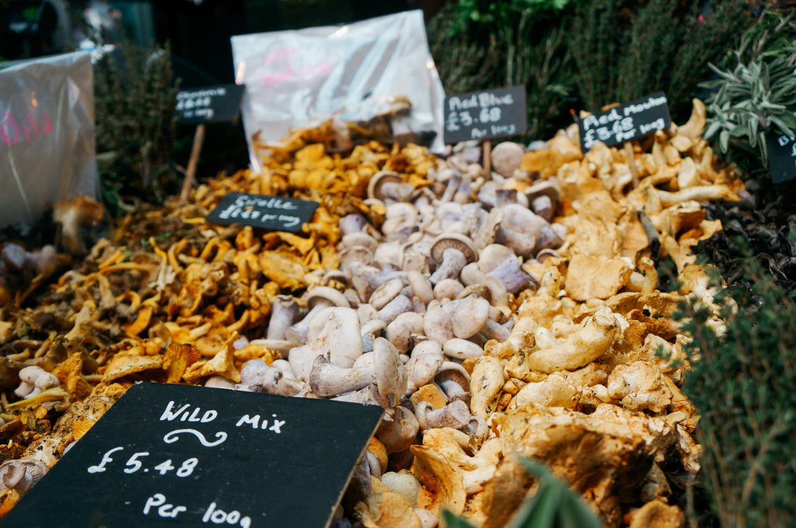 A Girl's Guide to Surviving a Solo Trip to London in January, The Final Chapter