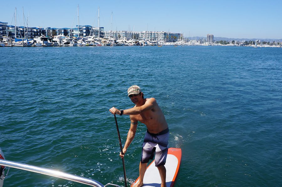 Paddle Boarder