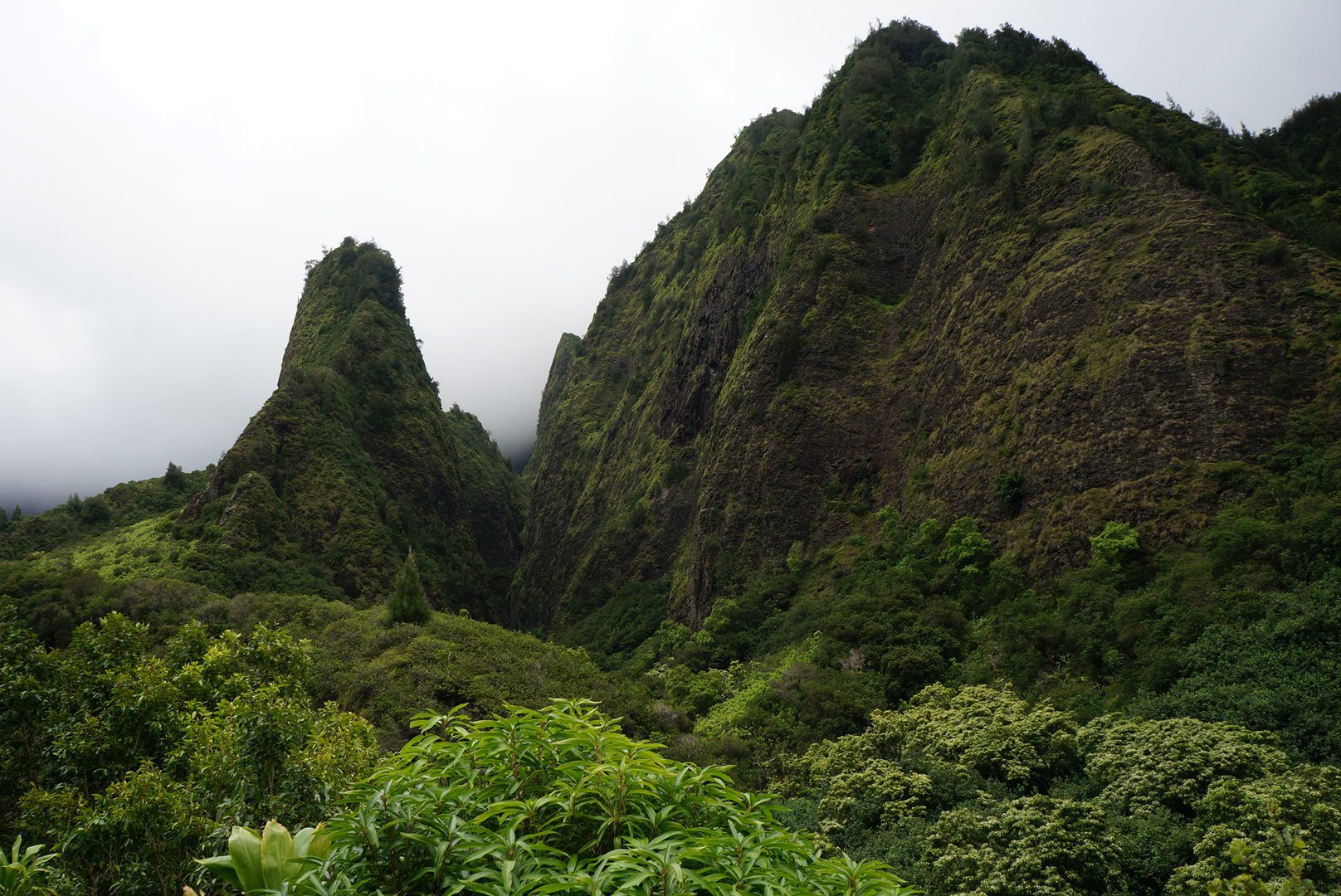 Iao Valley State Park Maui