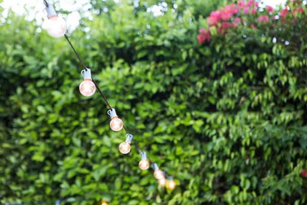 LAlfresco_ChristineChangPhoto_014