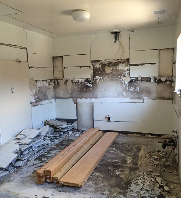kitchen after demo