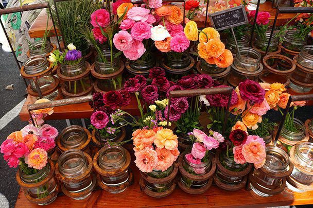 2015-04-12 12.12.29-1