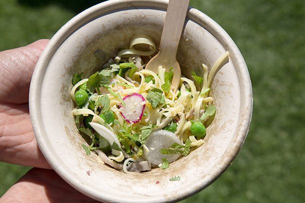 Farmer's Market Mash Up_3289