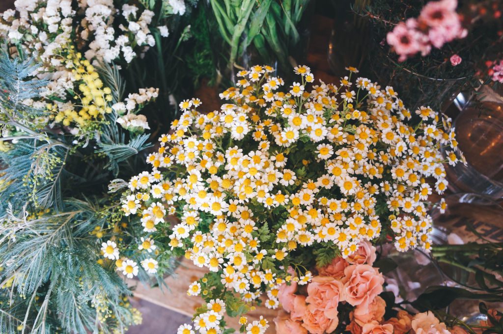 Clementine Florist-8