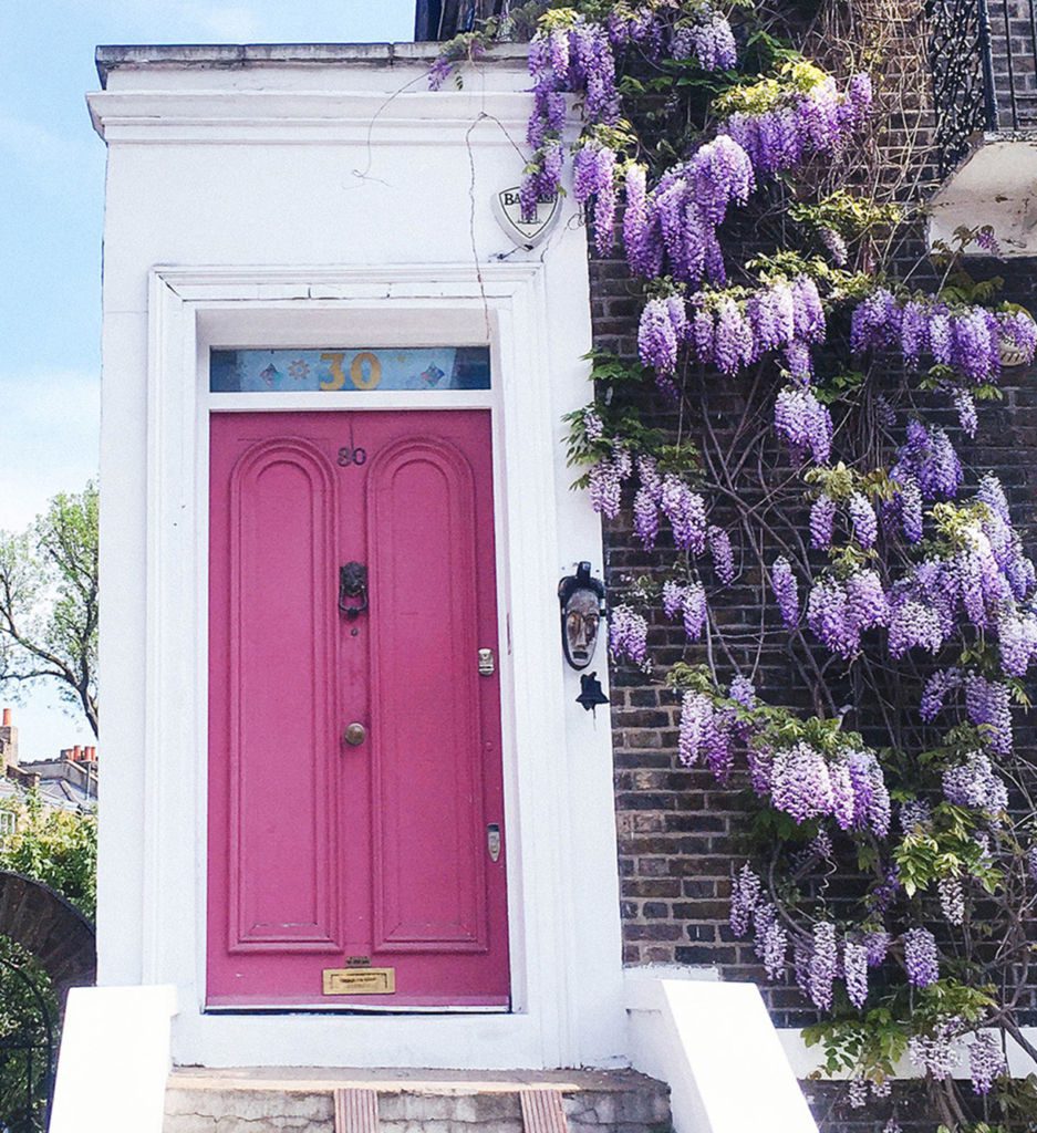 Photos of spring in London including wisteria hysteria, the time of year when wisteria covers the city in a lavender canopy.
