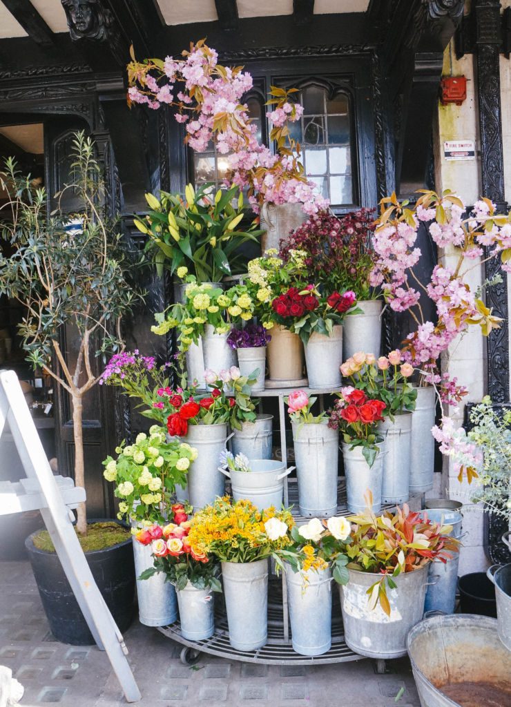 Photos of spring in London including wisteria hysteria, the time of year when wisteria covers the city in a lavender canopy. 