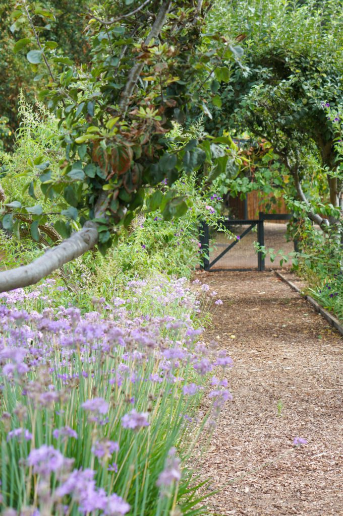 golden_door_vintners_2.jpg-30