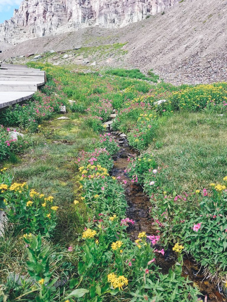 Glacier National Park-6