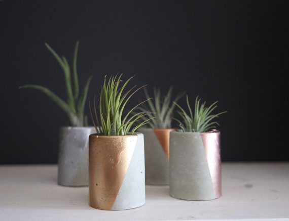 il_570xn-1070166947_jkvx