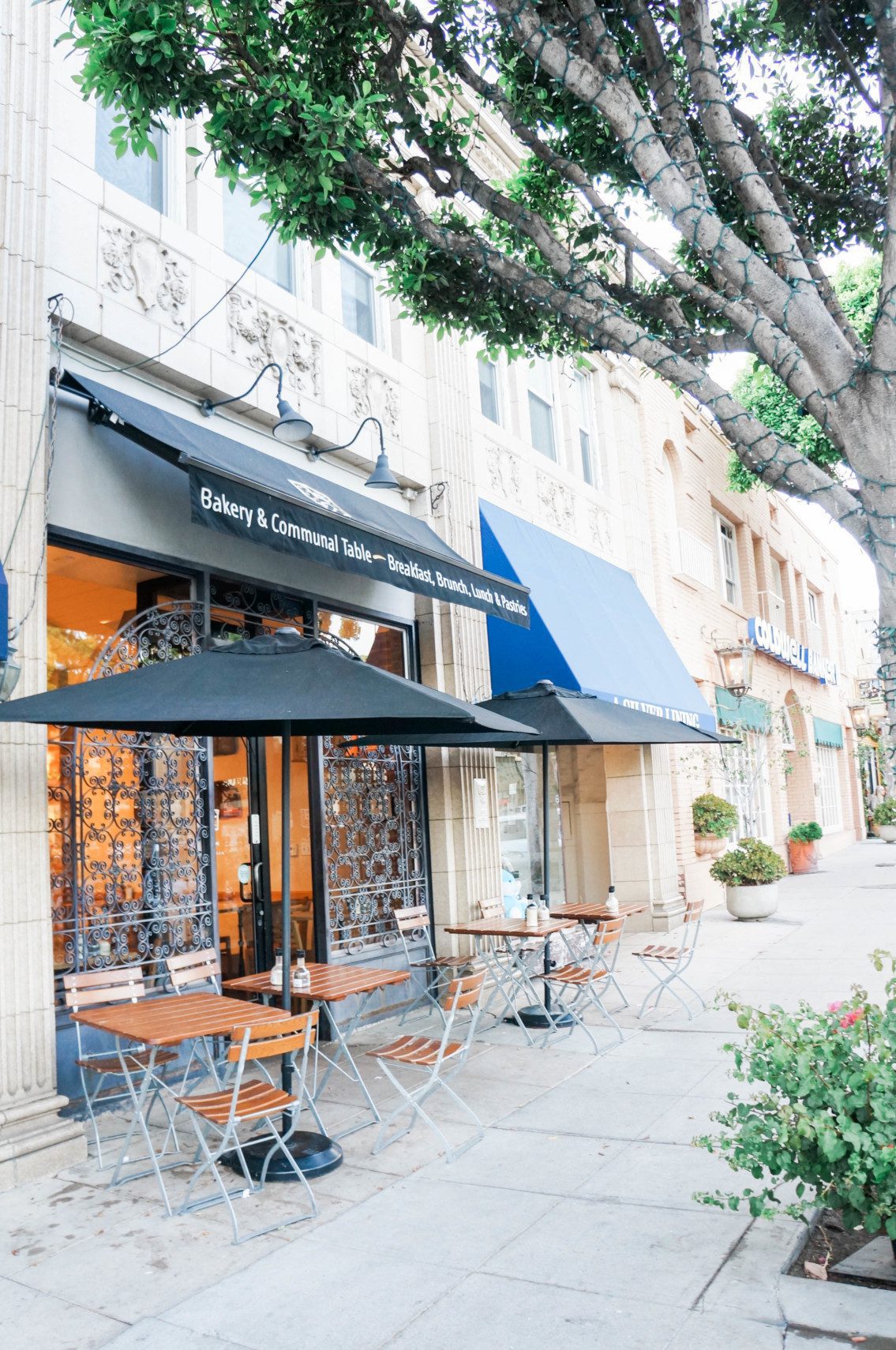 Where to eat, play, and shop in Larchmont Village, a quaint tree-lined street near the Hancock Park neighborhood of Los Angeles.