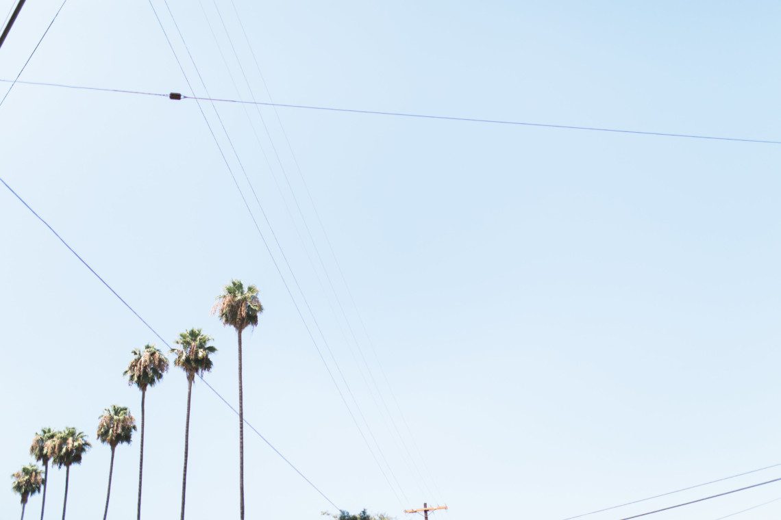 Want to know the best places to eat, drink and shop in Silver Lake? From the best coffee shop to the best Thai in Los Angeles, it's all here.